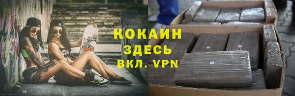 молекула духа Алексин